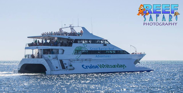 Can You Scuba Dive Without Being Certified At The Great Barrier Reef We Did And Loved It