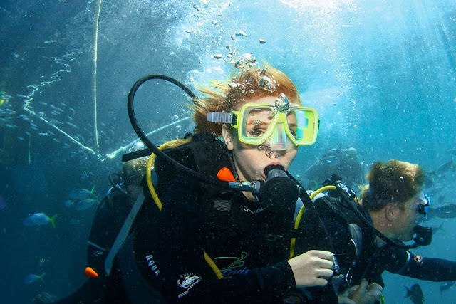 Can You Scuba Dive Without Being Certified At The Great Barrier Reef We Did And Loved It